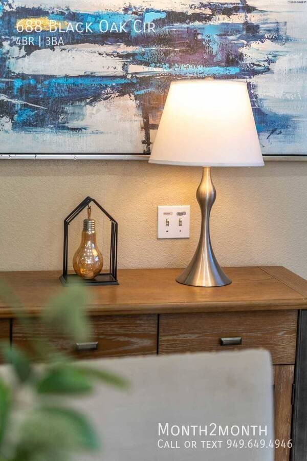 688 Black Oak Cir - Photo 4 of 38
