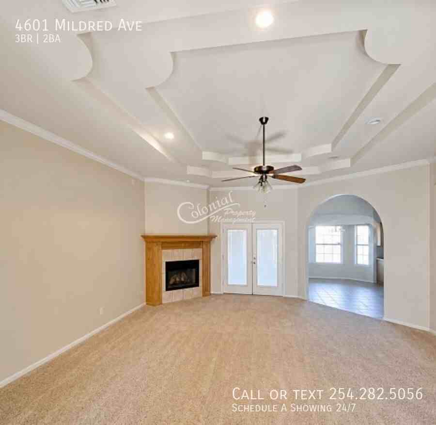 4601 Mildred Ave - Photo 4 of 12