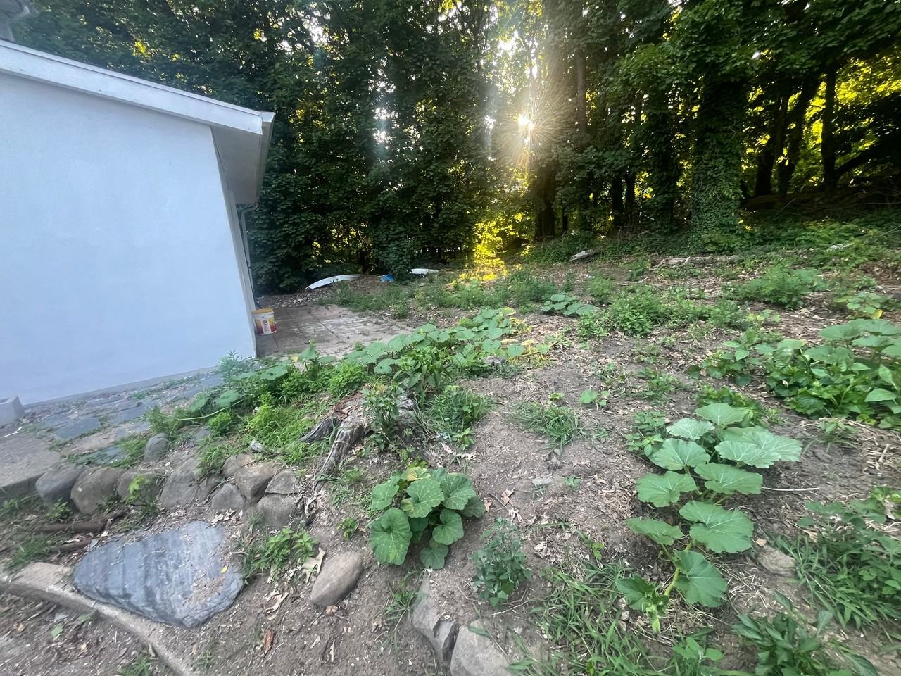 18851 85th Rd - Photo 3 of 12