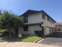 319 Josie - Photo 1 of 1