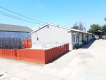 316rose - Photo 1 of 1