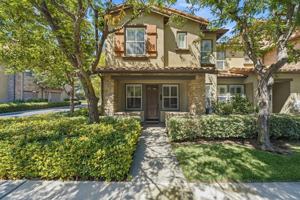 featured image of 119 Coral Rose