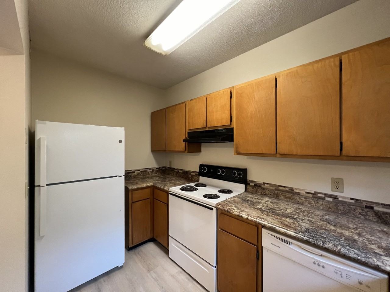 803 Kelly Dr - Photo 6 of 14