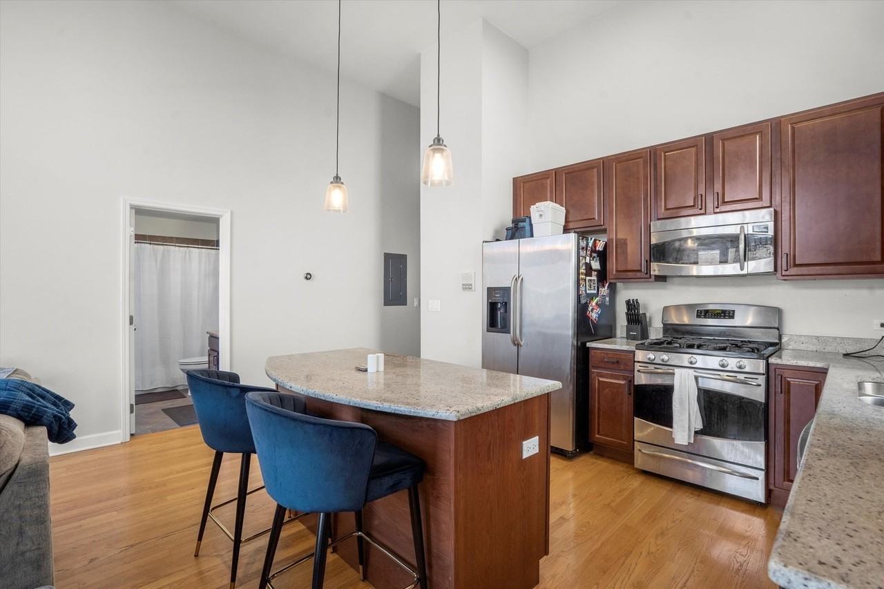 3734 N Wilton Ave #3N - Photo 4 of 17