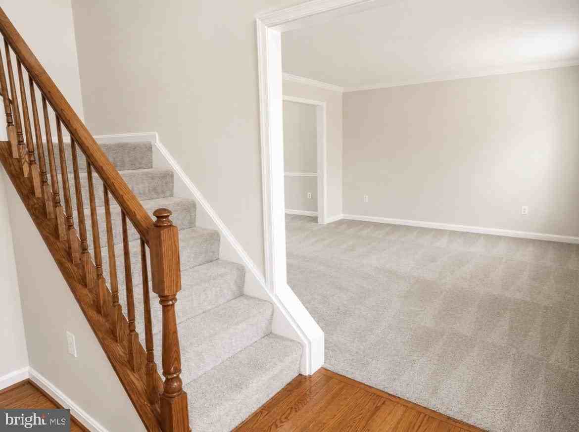 29 Palace Ln - Photo 3 of 17