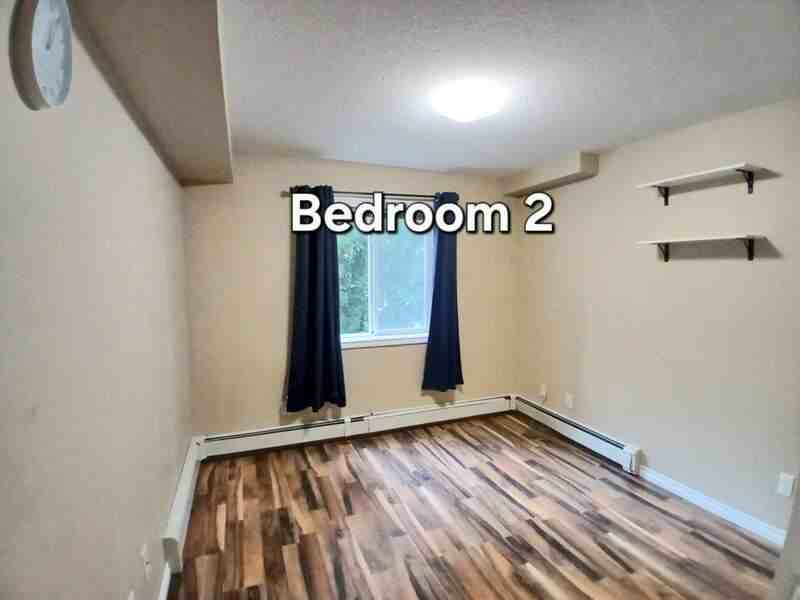 9938 104 St Nw #205 - Photo 7 of 13