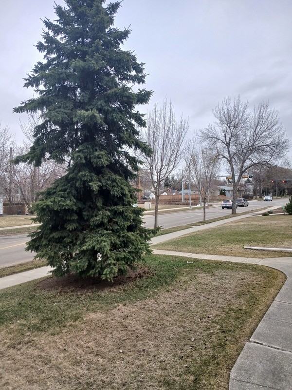 8331 76 Ave Nw - Photo 3 of 36