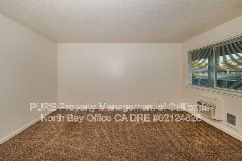 555 Dexter St #B - Photo 4 of 31
