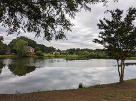 featured image of 804 Talking Stick Ln