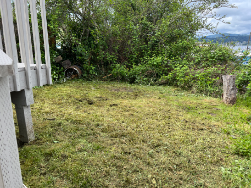 316 Cline Ave - Photo 6 of 19