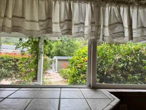 3854 San Juan Canyon Rd - Photo 7 of 9