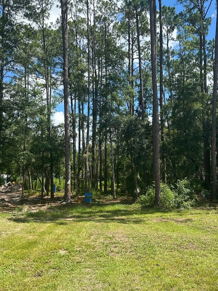 121 Falcon Fire Pl - Photo 2 of 18