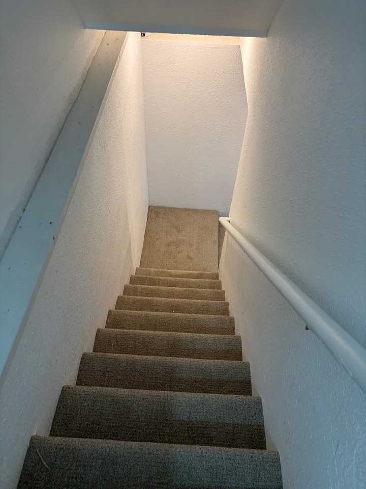 414 N Meldrum St #BS - Photo 6 of 9