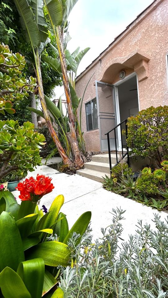 245 6th Avenue #1 - Photo 3 of 15