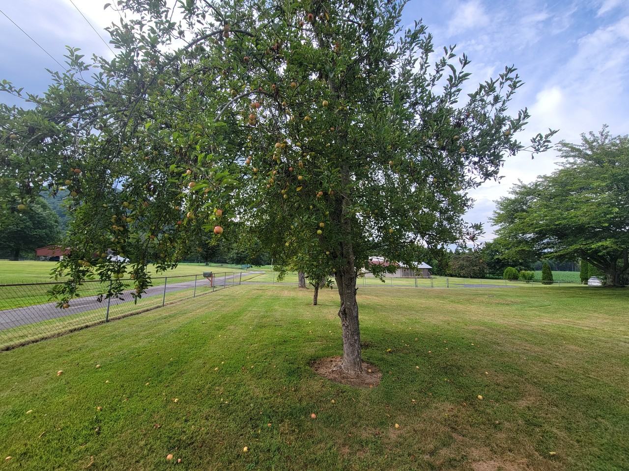 100 Shannondoah Dr #NA - Photo 5 of 22