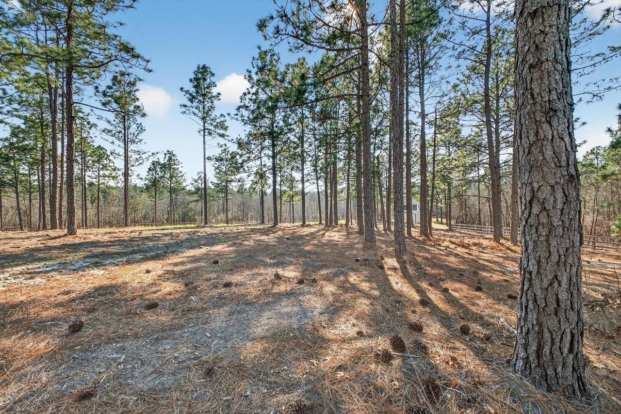 316 Cadle Crossing Rd - Photo 3 of 30