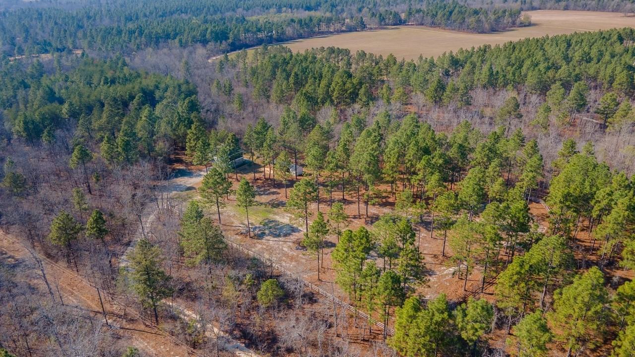 316 Cadle Crossing Rd - Photo 4 of 30