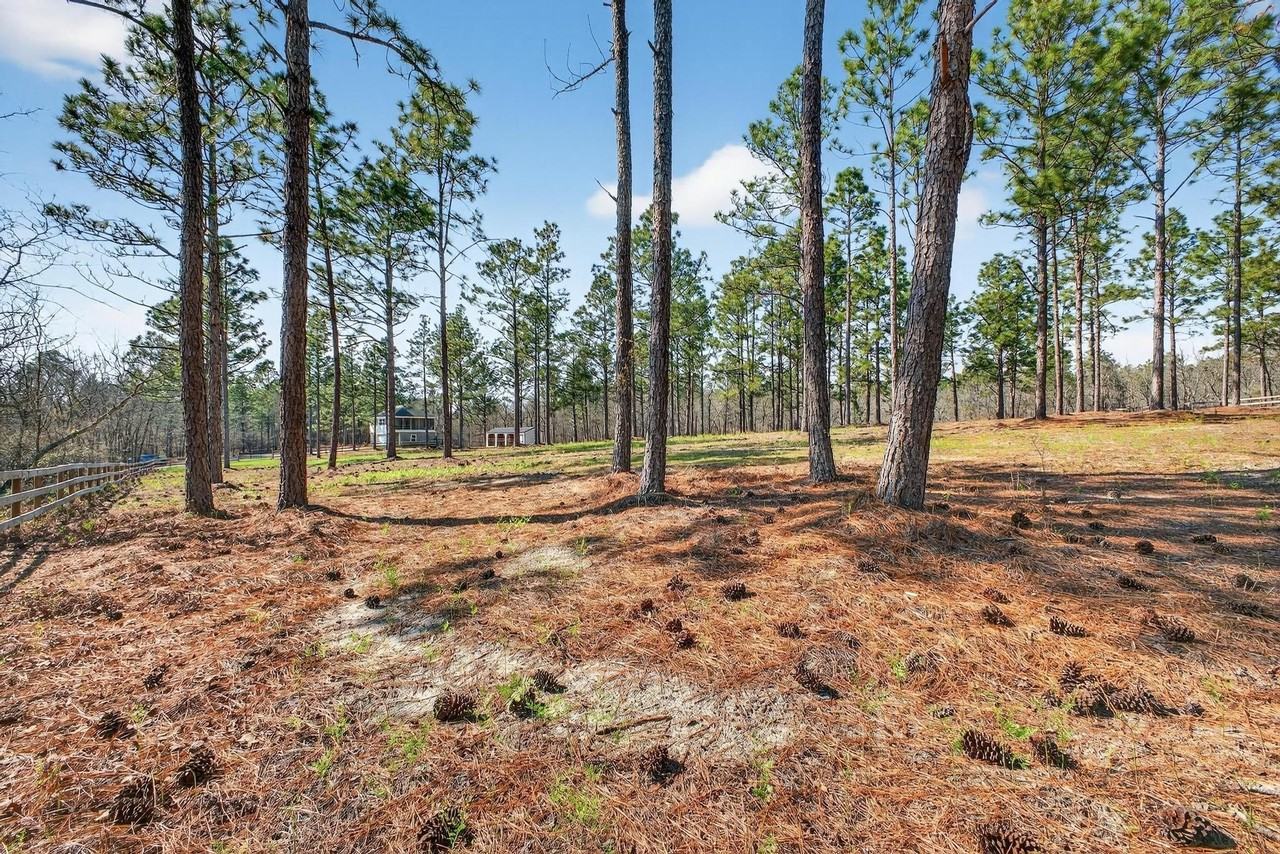 316 Cadle Crossing Rd - Photo 5 of 30