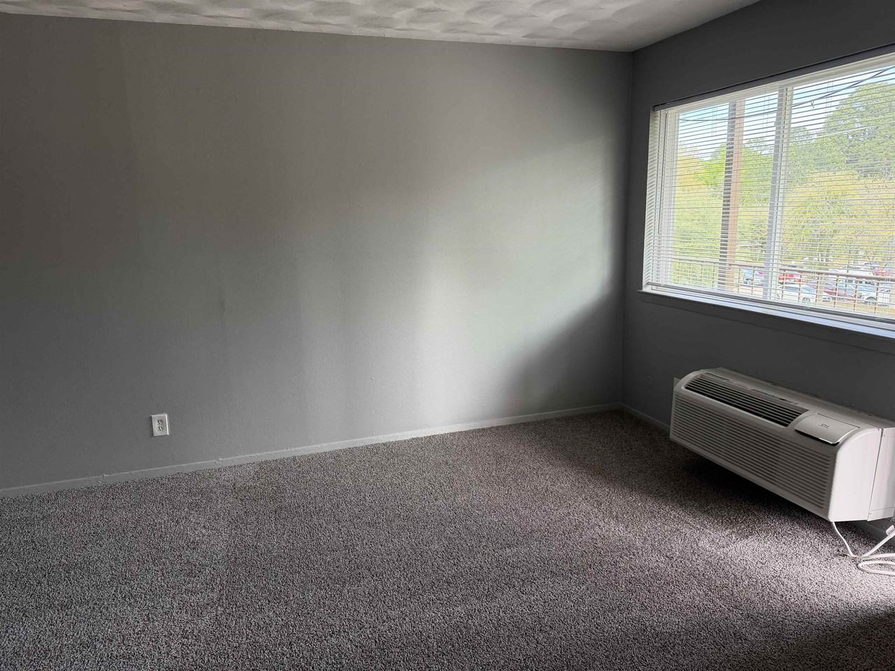 1200 N 4th St - Photo 3 of 12