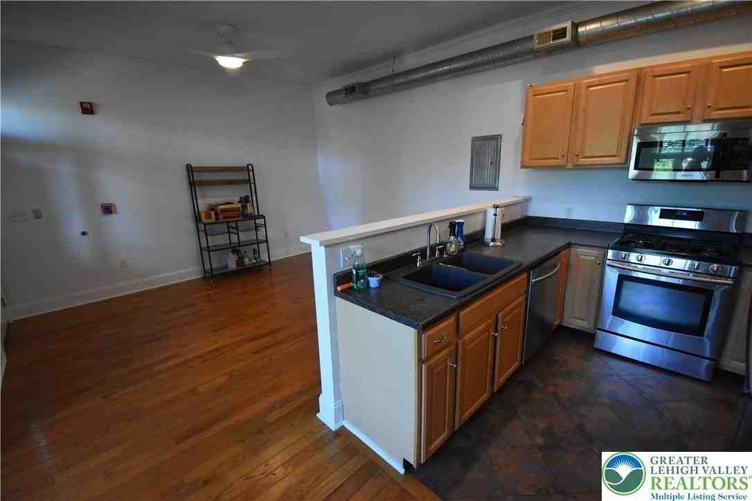 217 Spring Garden St #101 - Photo 5 of 14