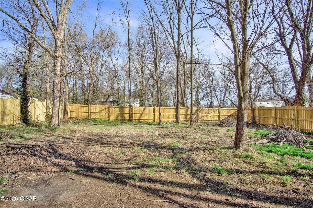 703 Joplin St - Photo 6 of 25