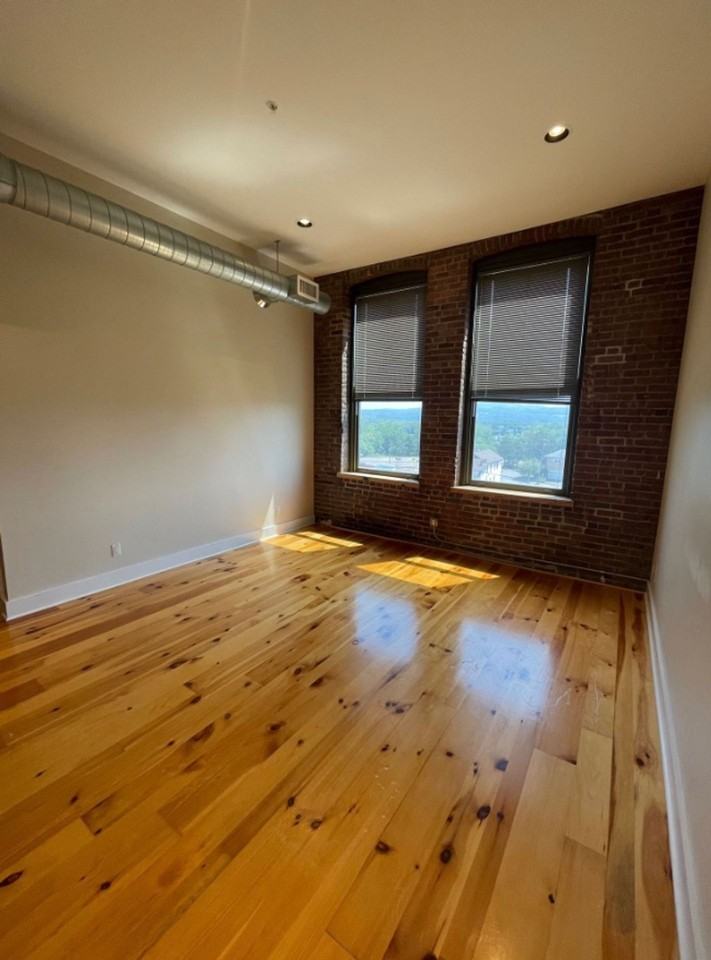 1 Bedroom 1 Bathroom Luxury Apartment in Cohoes - Photo 2 of 13