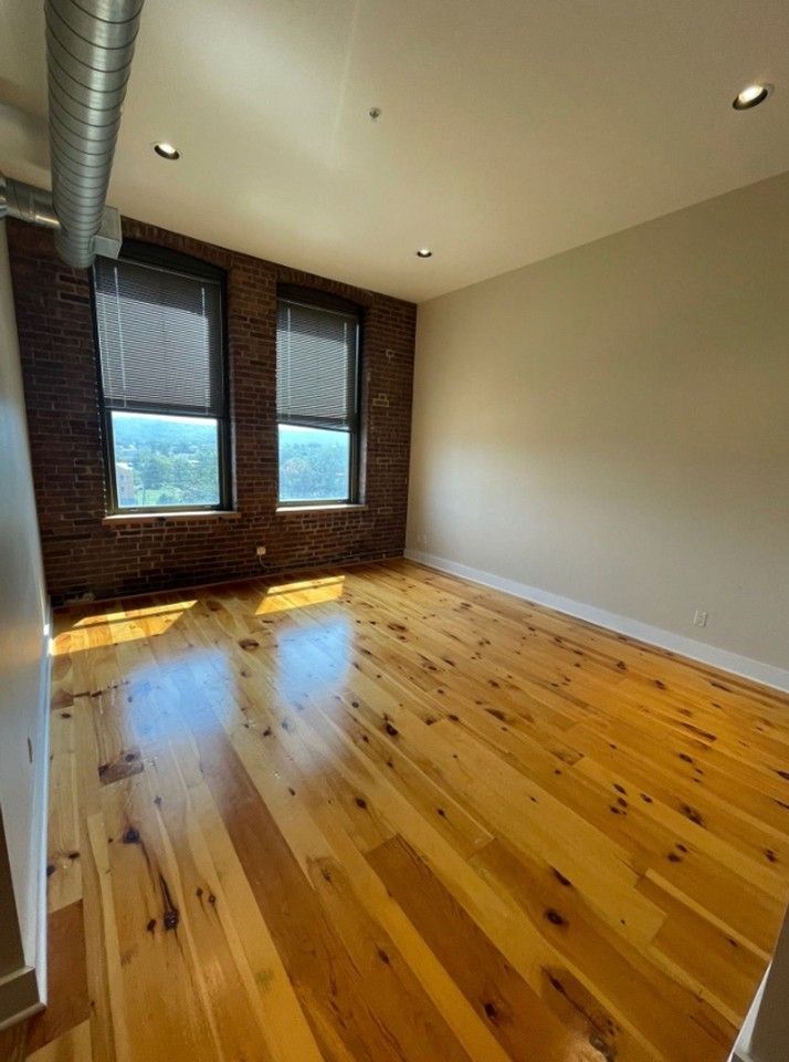 1 Bedroom 1 Bathroom Luxury Apartment in Cohoes - Photo 4 of 13