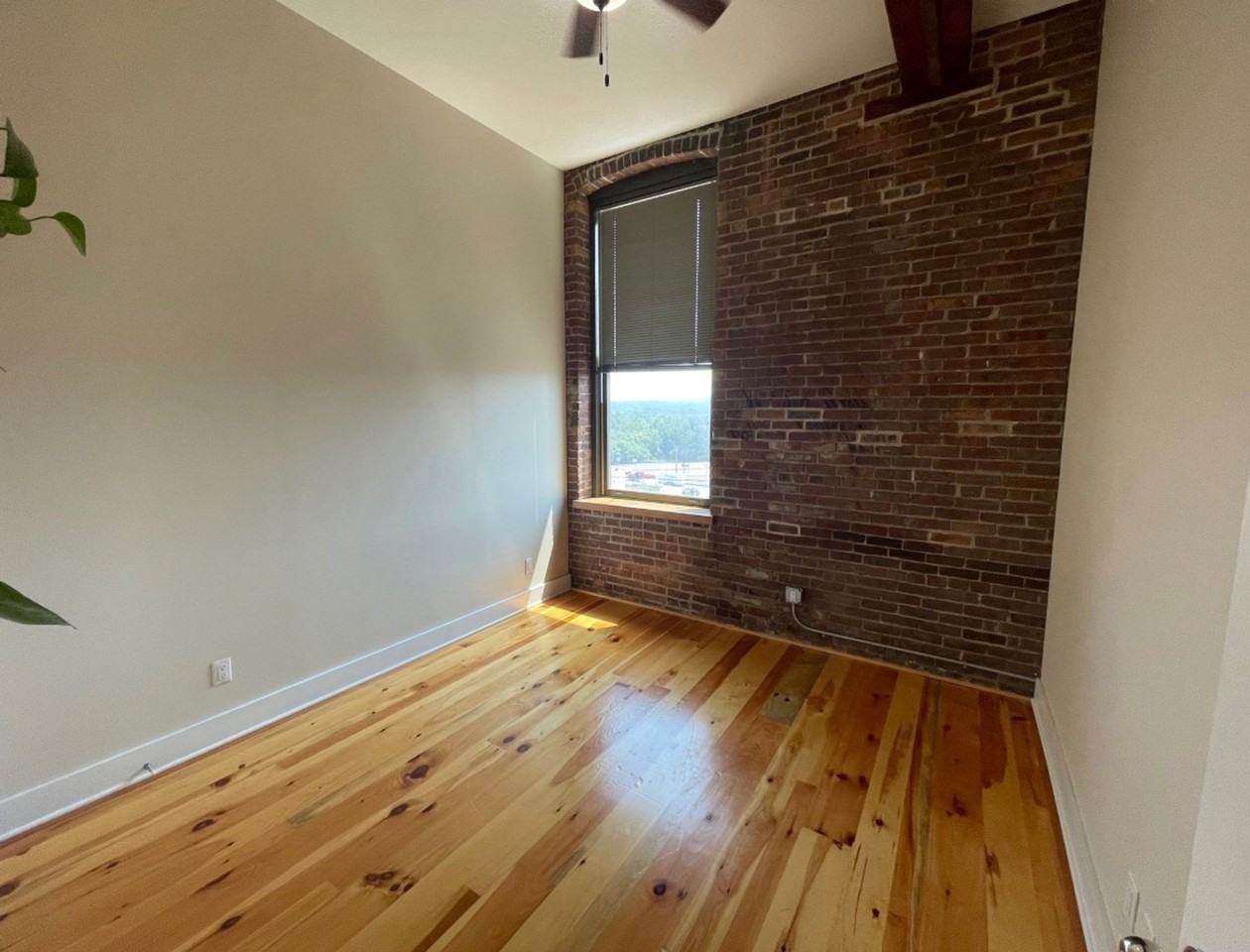 1 Bedroom 1 Bathroom Luxury Apartment in Cohoes - Photo 6 of 13