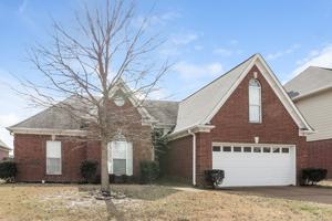 featured image of 10183 Tall Hickory Dr