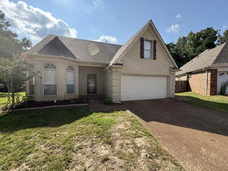 10011 Woodland Pine Cv W