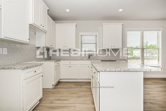 509 Fiery Warbler St - Photo 3 of 18