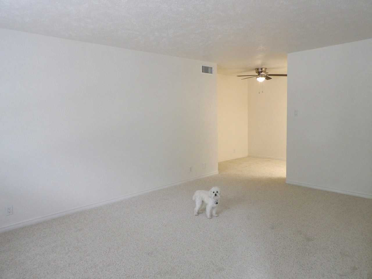 4405 Mckinney Ave #201 - Photo 4 of 22