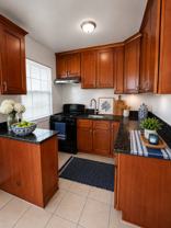LB0943 (Chestnut) - Photo 1 of 1