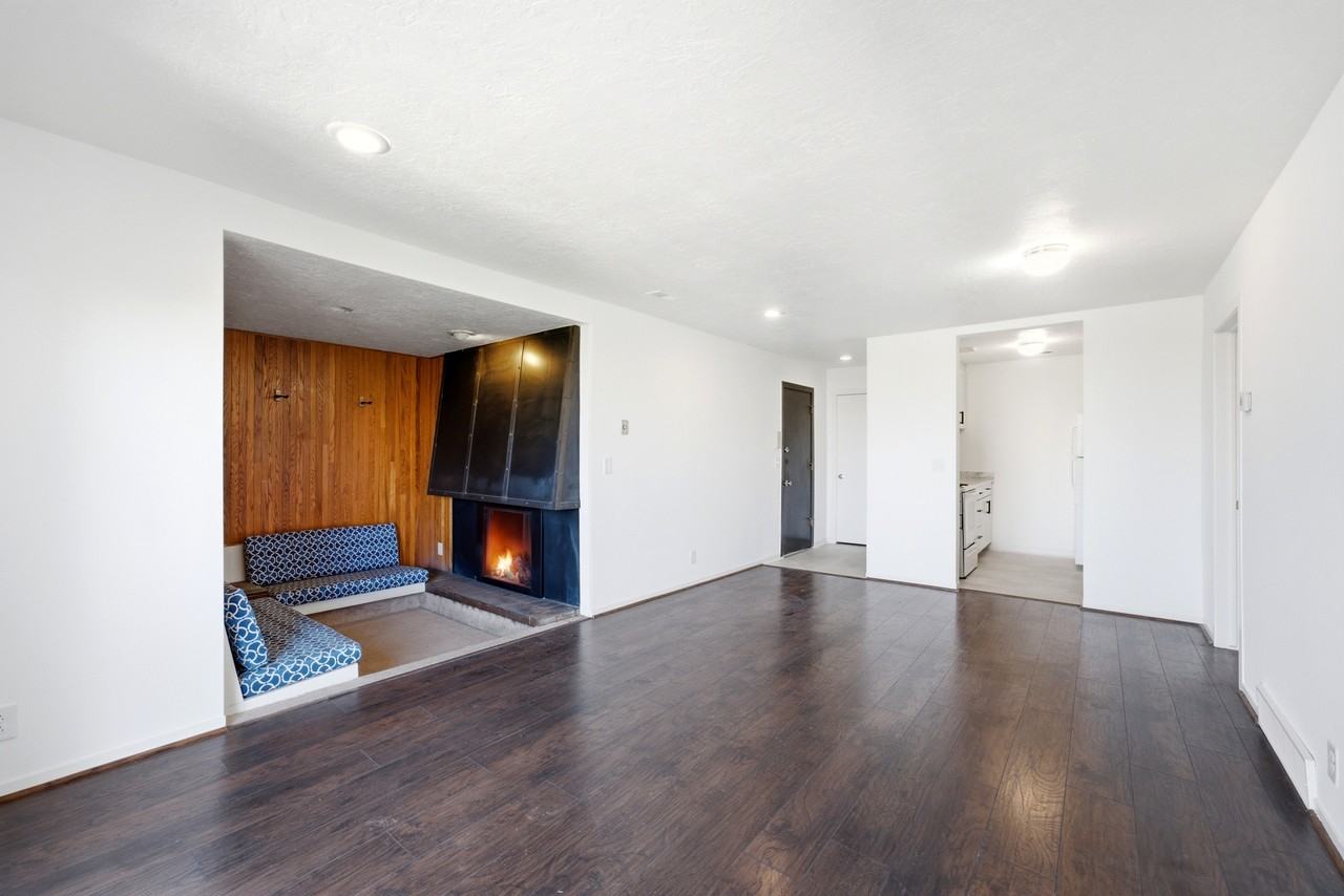 250 S Elizabeth St #1 - Photo 4 of 19