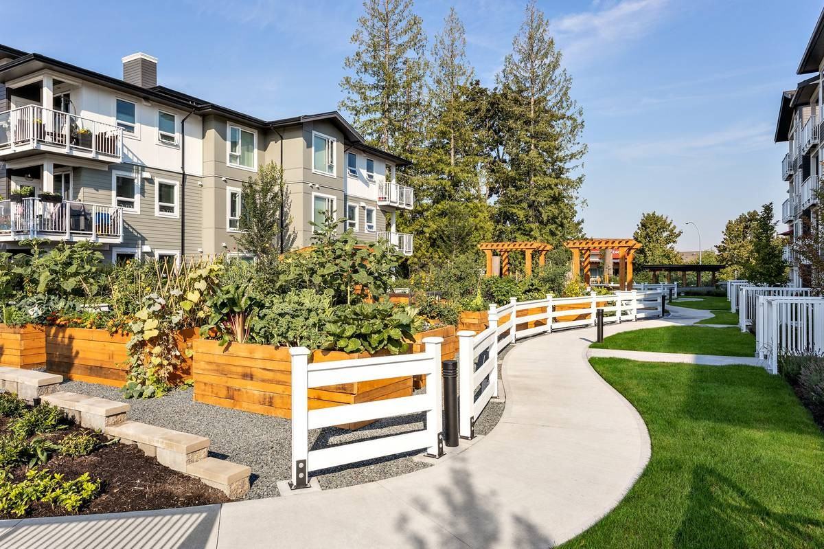 Solaro 22304 50th Ave, Unit A210 - Photo 6 of 11