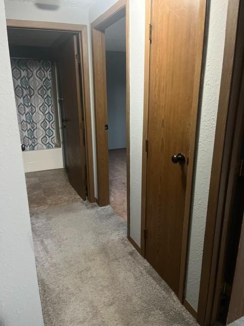 2900 Elijah Pkwy - Photo 6 of 11