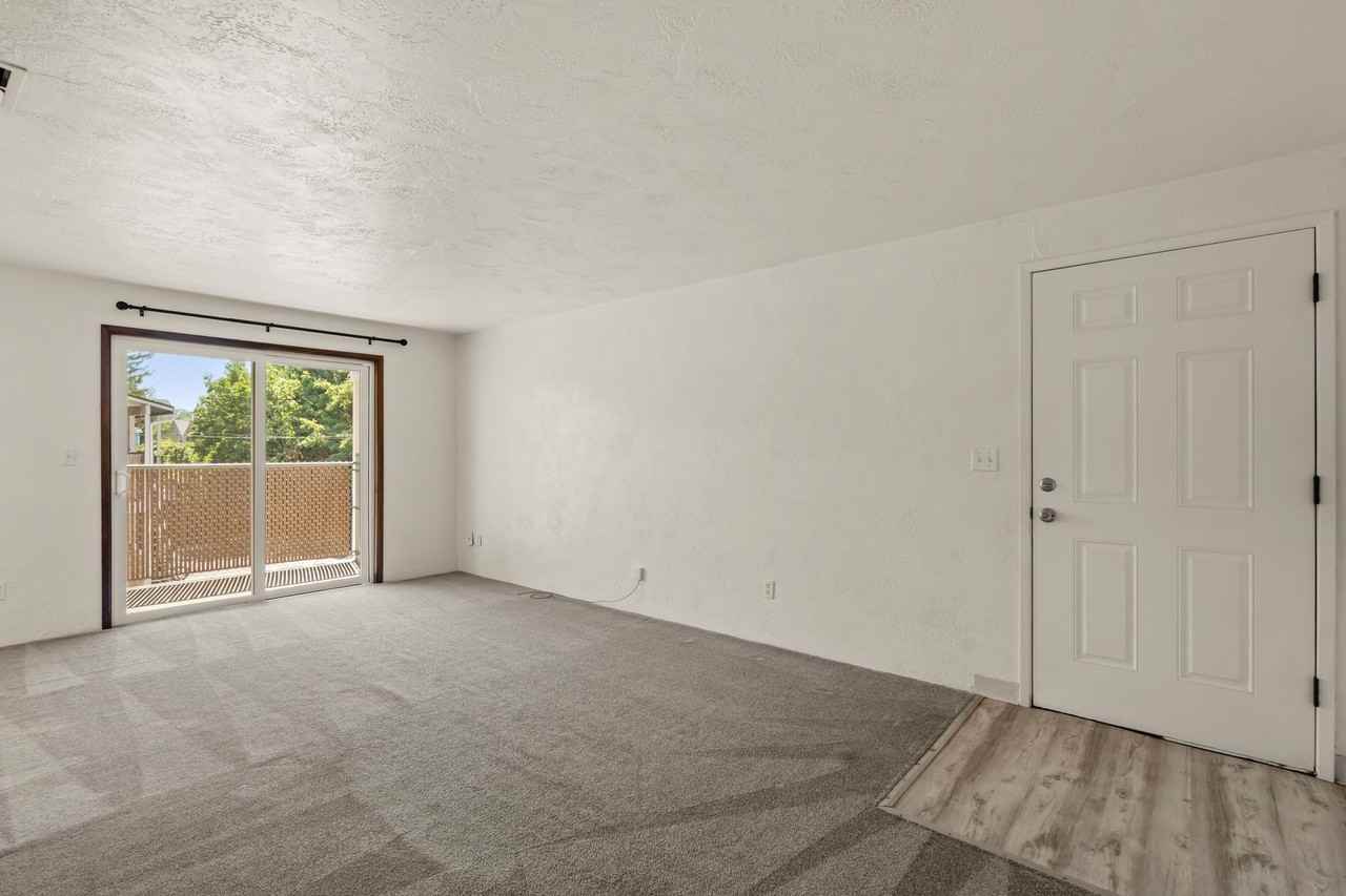 446 N 1st St - Photo 6 of 25