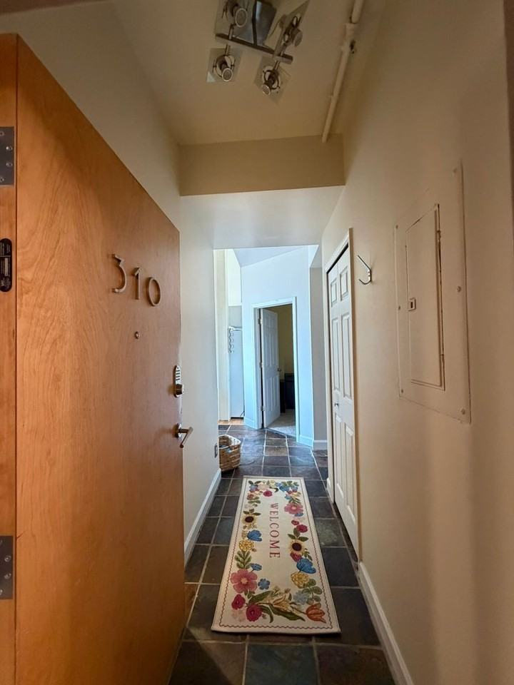 101 W Liberty St #310 - Photo 2 of 18