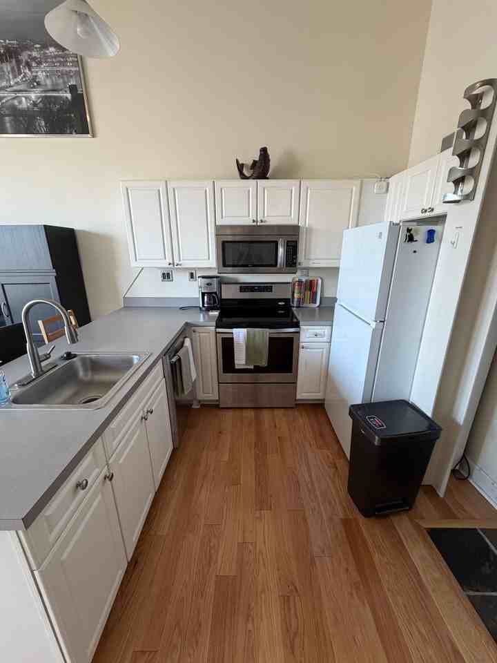 101 W Liberty St #310 - Photo 7 of 18
