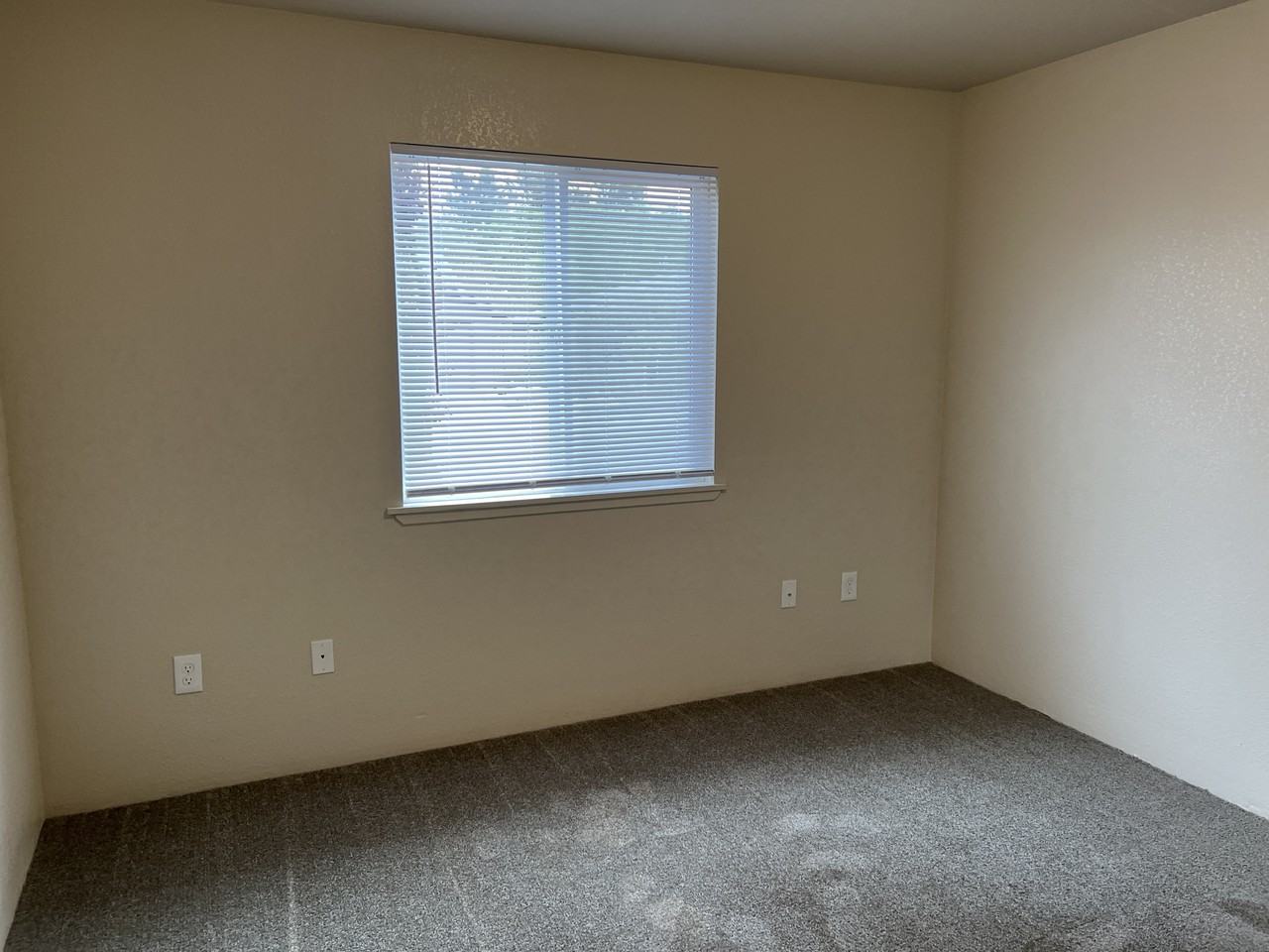 1531 Reasor Rd #A - Photo 4 of 10