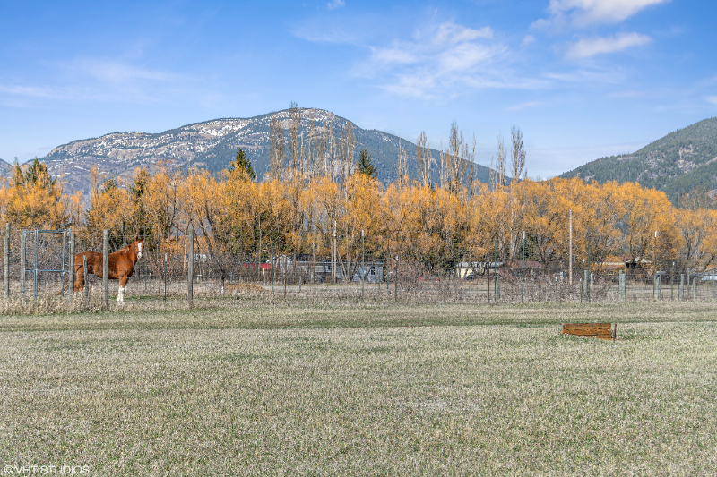 3131 Mountain Ave - Photo 4 of 7