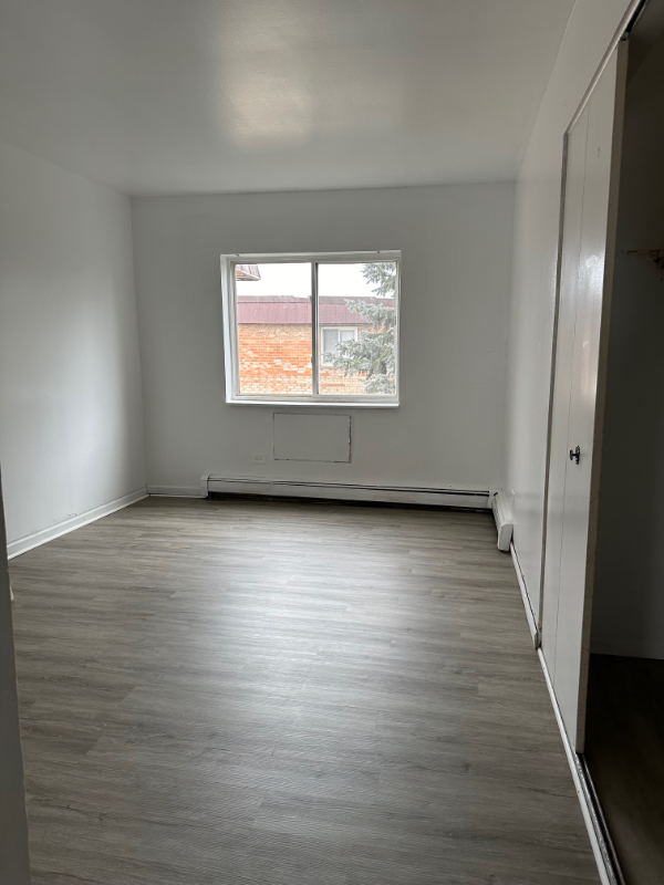 309 W Hawthorne Cir #3B - Photo 5 of 11