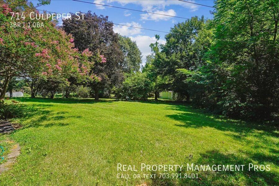 714 Culpeper St - Photo 3 of 33