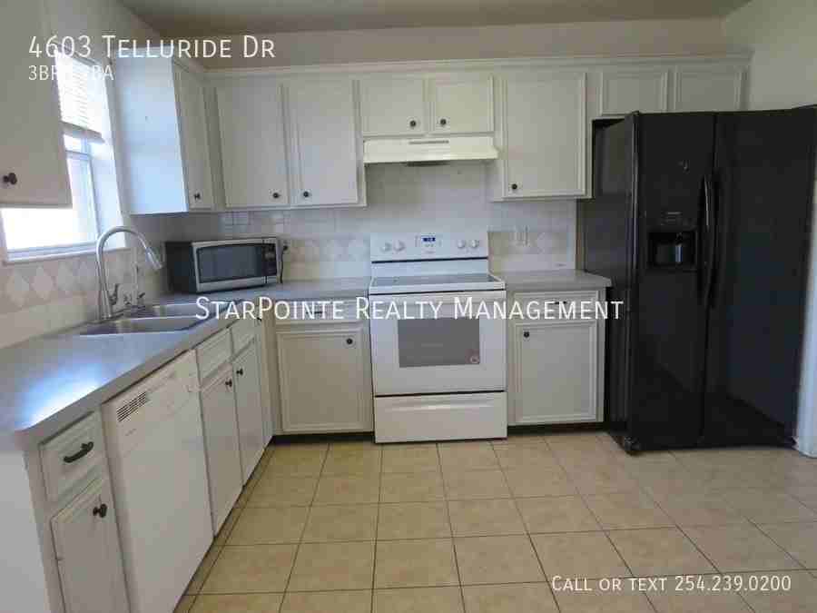 4603 Telluride Dr - Photo 3 of 13