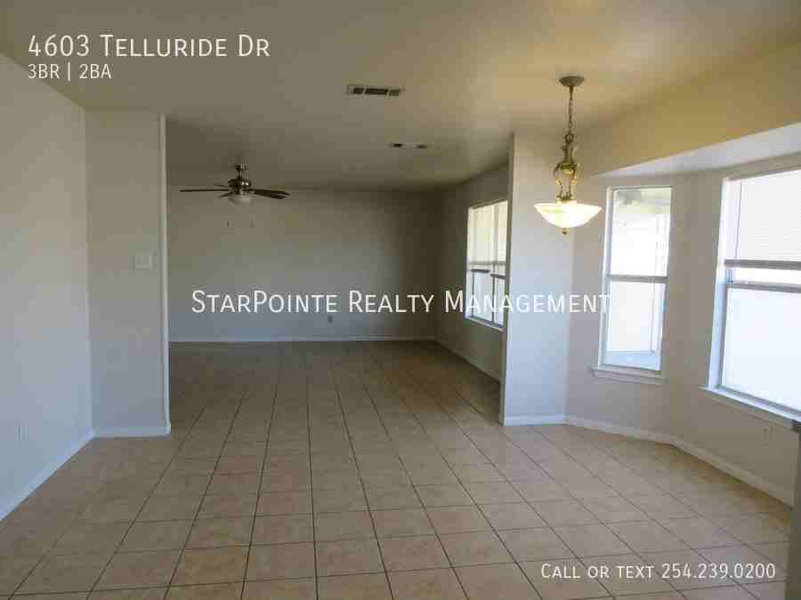 4603 Telluride Dr - Photo 4 of 13