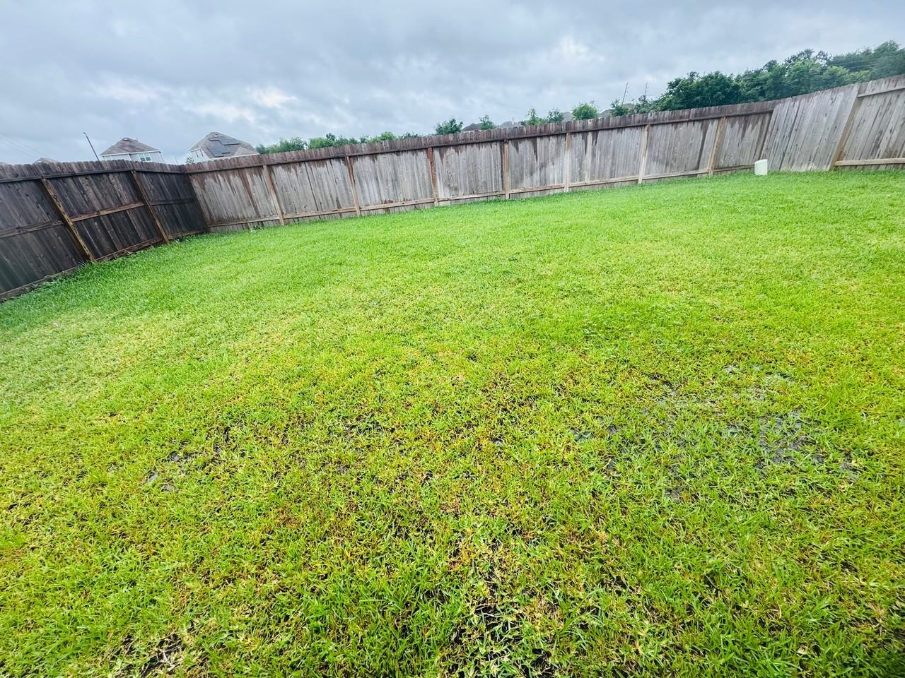 5203 James Michael Dr - Photo 6 of 6