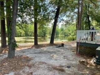 303 Gator Lake Ct - Photo 3 of 11