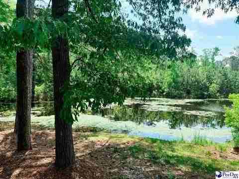 303 Gator Lake Ct - Photo 5 of 11