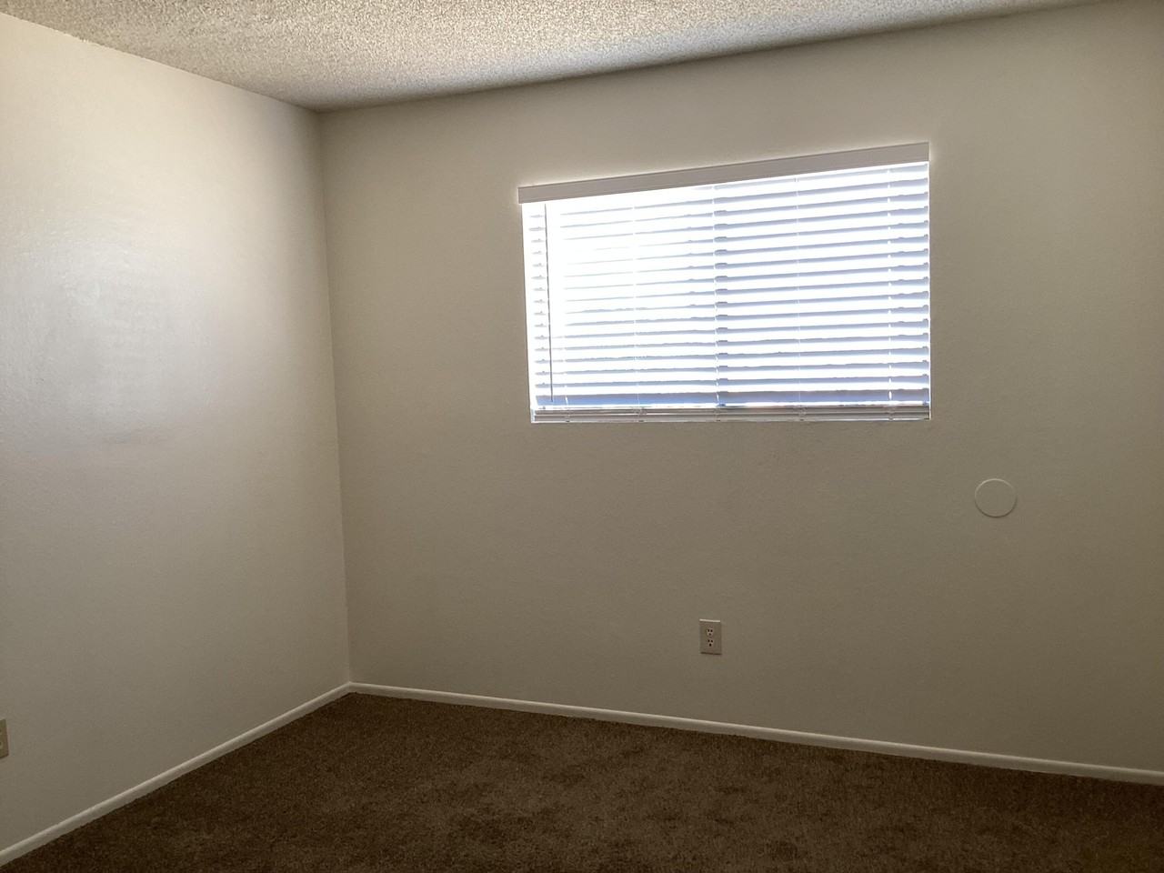 44652 Beech Ave #A - Photo 7 of 9