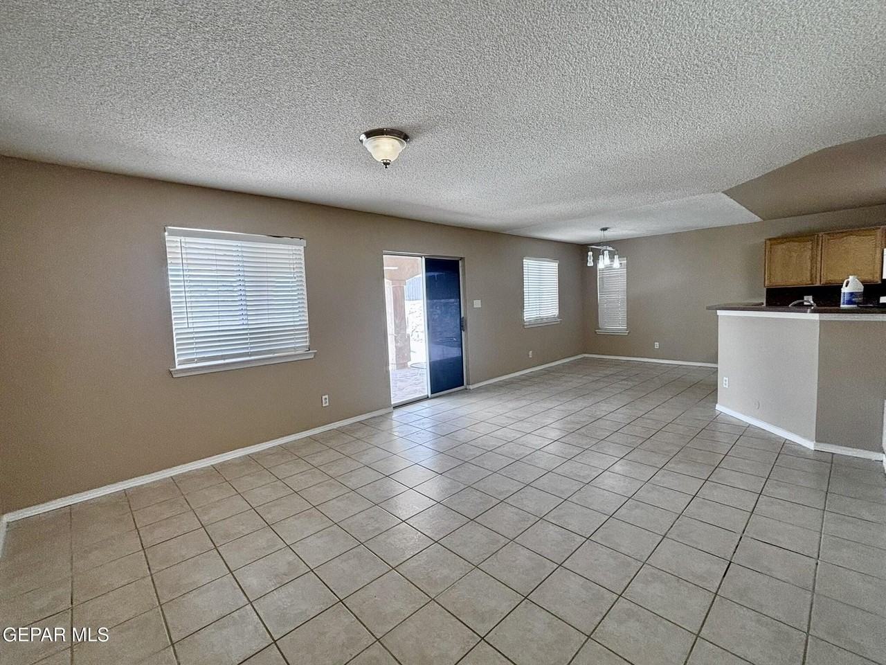 12312 Tierra Laguna Dr - Photo 4 of 19